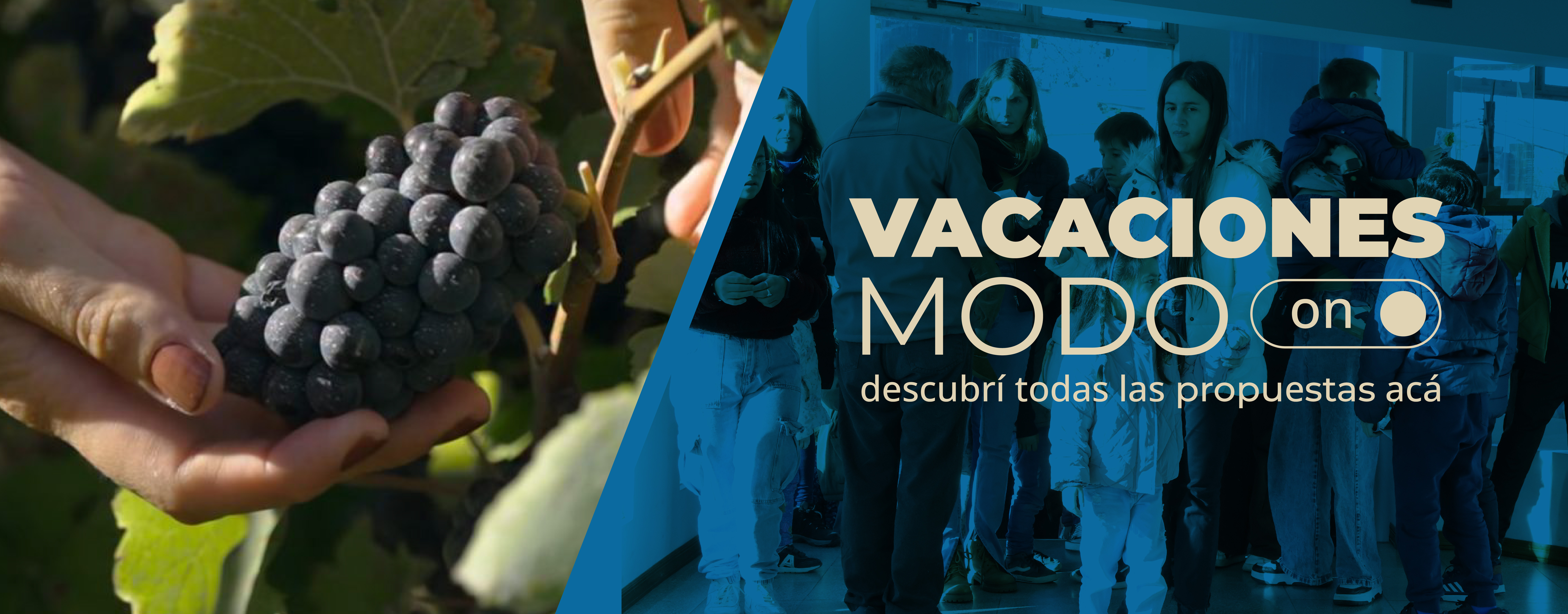 Vacaciones de invierno